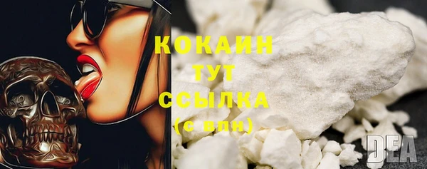 соль ск Бородино