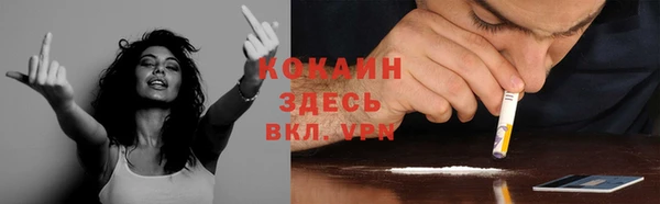 экстази Богданович