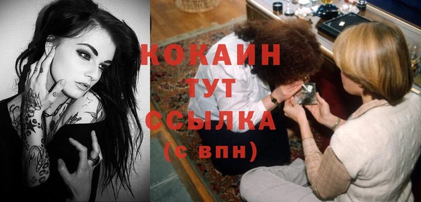 амф Бронницы