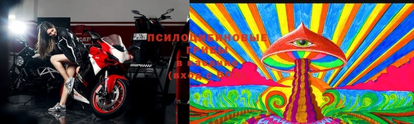 соль ск Бородино