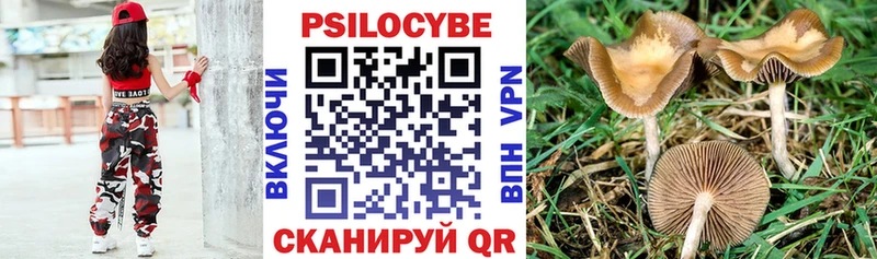 Галлюциногенные грибы Psilocybe  Дивногорск 